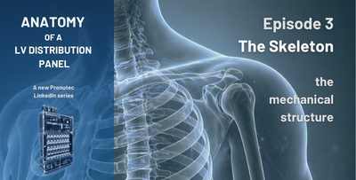 The Skeleton of a Low-Voltage Distribution Panel: The Mechanical Structure
