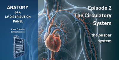 The Circulatory System of a Low-Voltage Distribution Panel: The Busbar System