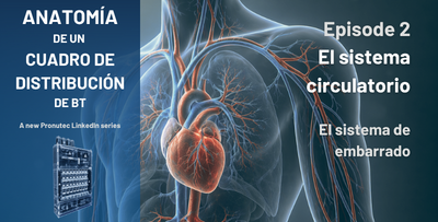 El sistema circulatorio de un cuadro eléctrico: el embarrado de distribución