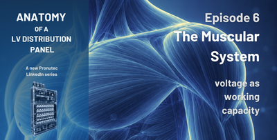 The Muscular System of a Distribution Panel: Voltage as Working Capacity